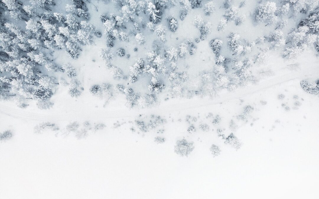 Markedsarbeid fremover: Fokus på strategi, samarbeid og synlighet