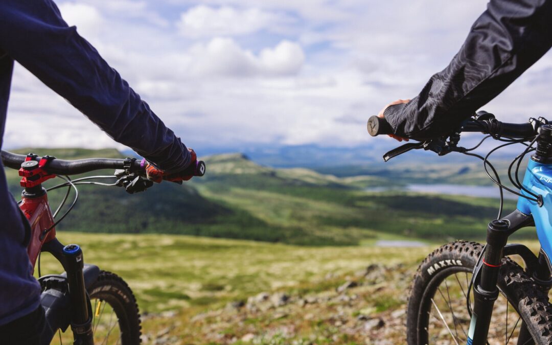 Sommeren 2025: Flere turister, høyere omsetning – og tydelige regionale forskjeller