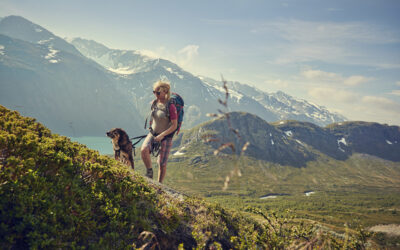 Bor du i Nord-Gudbrandsdalen?