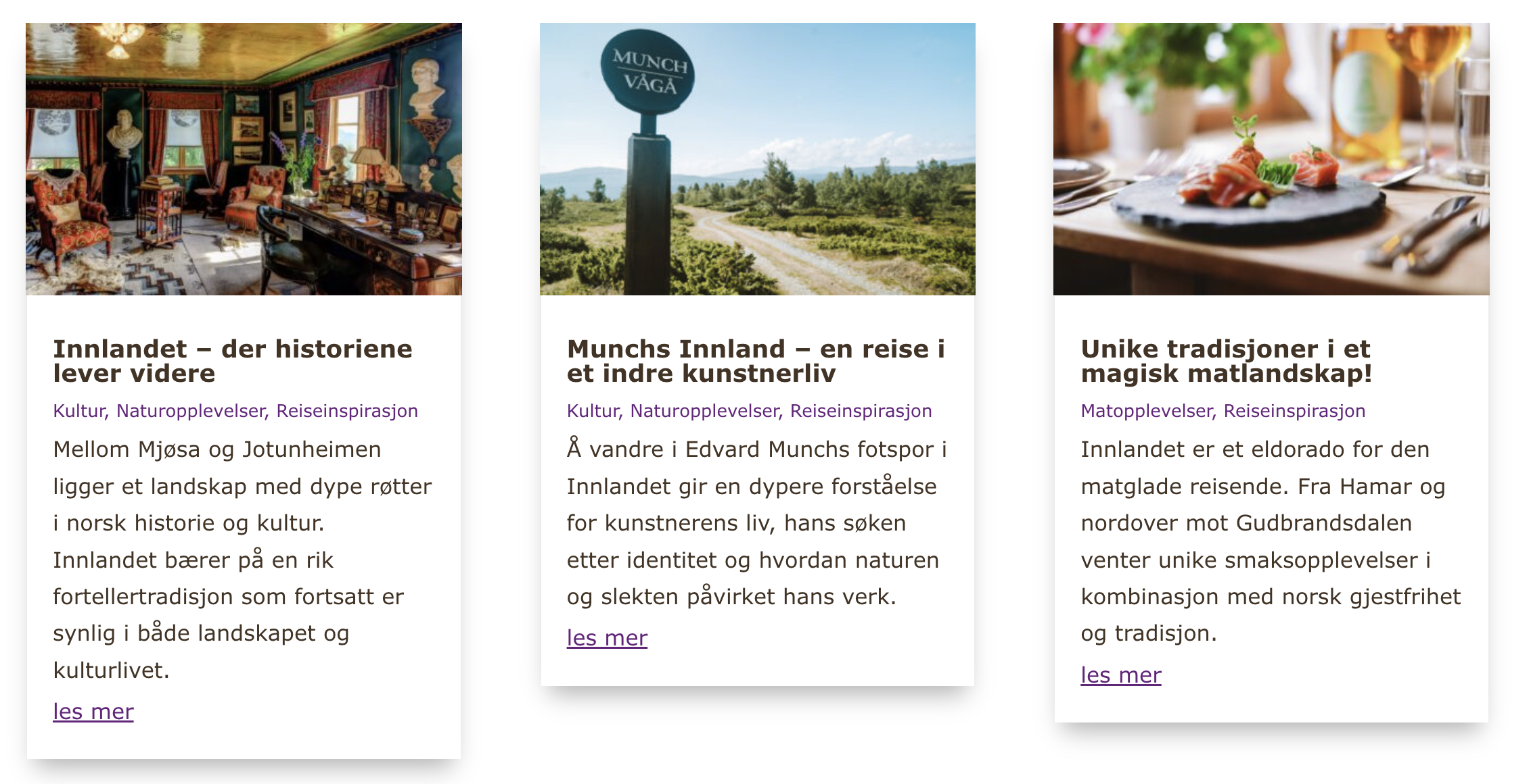 Skjermbilde fra Intonorway.no Illustrasjon til årsrapport Rada Reiseliv