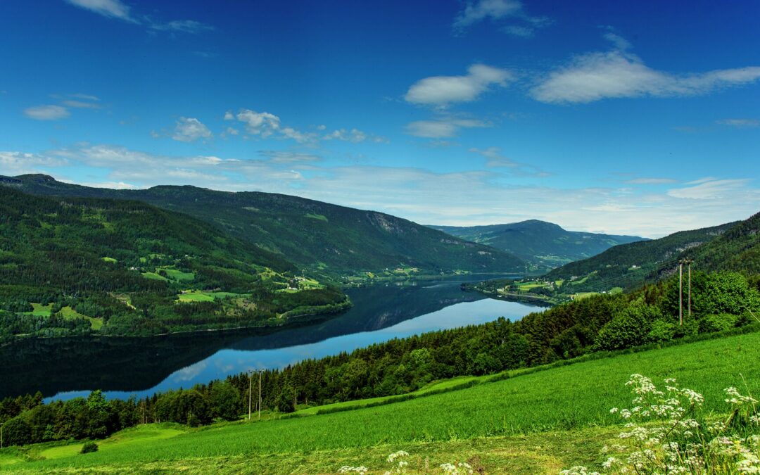 Årsmøte og Reiselivsdagen 11. juni